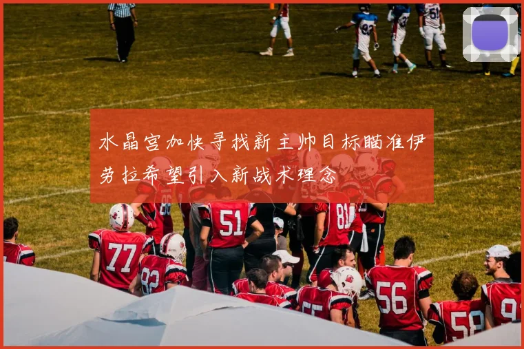 水晶宫加快寻找新主帅目标瞄准伊劳拉希望引入新战术理念